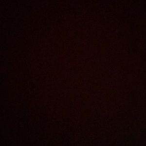 Meet your Posher, Frannie